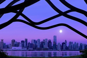 世界乒乓球联赛赛场文化与观众互动项目年终总结第四版发布，乒乓球世界赛事