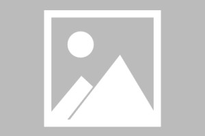 世界乒乓球短赛季联赛城市扩展计划招募更多承办方，世界乒乓球赛制